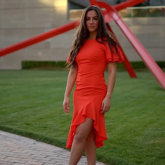 BLACK HALO Ruiz Swingy ruffles midi dress feminine fairy womens size 12 luxury - Picture 12 of 12